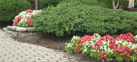 Williamson Landscaping Services Page Image